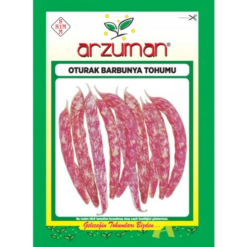 Arzuman Bezelye Oturak Barbunya Tohum