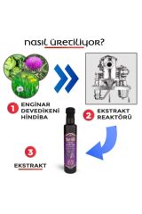Enginar Deve Dikeni ve Hindiba Ekstraktı Ekstresi 250 ml Doğadan Doğal