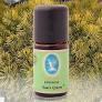 Defne Nuka Essencia Sarı Çam Yağı 10 ML
