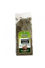 Ilayda Lavanta Çiçeği