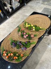 Sukulentli Supla Set 4'lü