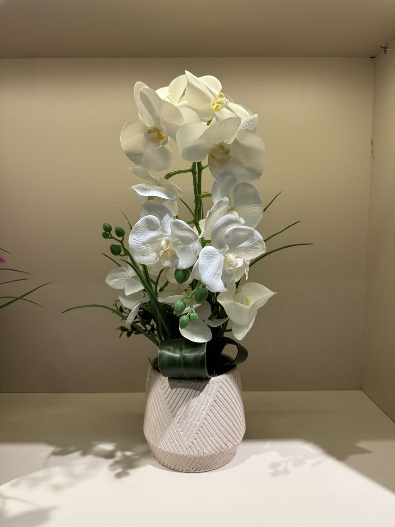 Orkideli beton saksı