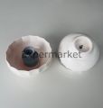 Fakir Amirex Blender Seti Hazne Kapağı