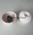Fakir Amirex 800 W  Blender Seti Hazne Kapağı