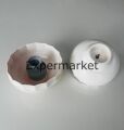 Fakir Sms 310 Blender Seti Hazne Kapağı