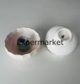 Fakir Trinity Blender Seti Hazne Kapağı