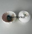 Fakir Sms 1121 Stabmixer Blender Seti Hazne Kapağı