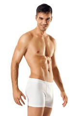 Gümüş Likralı Boxer 4018