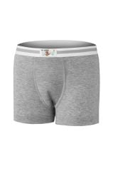 Yıldız Erkek Çocuk Ribana Boxer 30