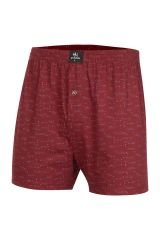 İki Yıldız Erkek Desenli Penye Boxer 12034