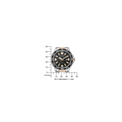 Citizen SW.AW1524-84E Eco-Drive Erkek Kol Saati