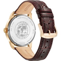 Citizen SW.BM8553-16AE Eco-Drive Erkek Kol Saati