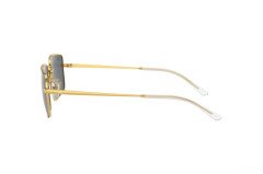 Ray-Ban SW.RB3669 Unisex Güneş Gözlüğü
