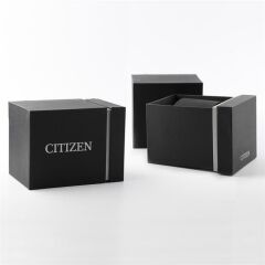 Citizen Gts Mechanical SW.NH8400-87LE Otomatik Erkek Kol Saati