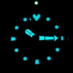 Citizen SW.NY0084-89EE Promaster Otomatik Dalgıç Kol Saati