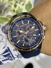 Quantum SW.PWG953.069 Chronograph Erkek Kol Saati