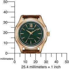Citizen SW.FE2113-16X Eco Drive Kadın Kol Saati