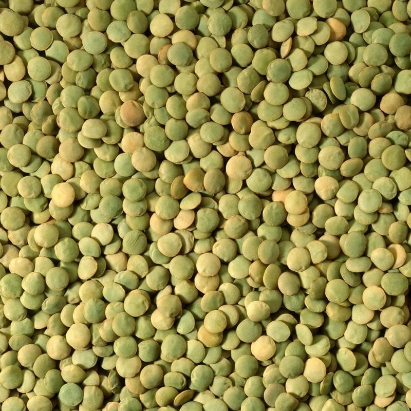 Yeşil Mercimek