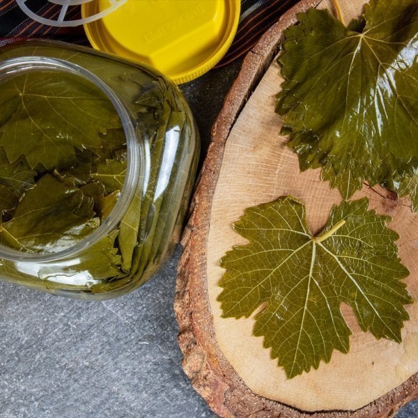 Salamura Asma Bağ Yaprağı 500 g Vakumlu Paket