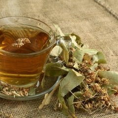 Ihlamur Çiçek