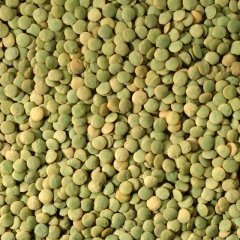 Yeşil Mercimek 1000 g