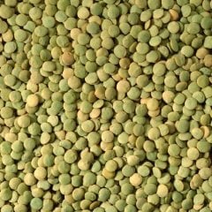 Yeşil Mercimek 1000 g