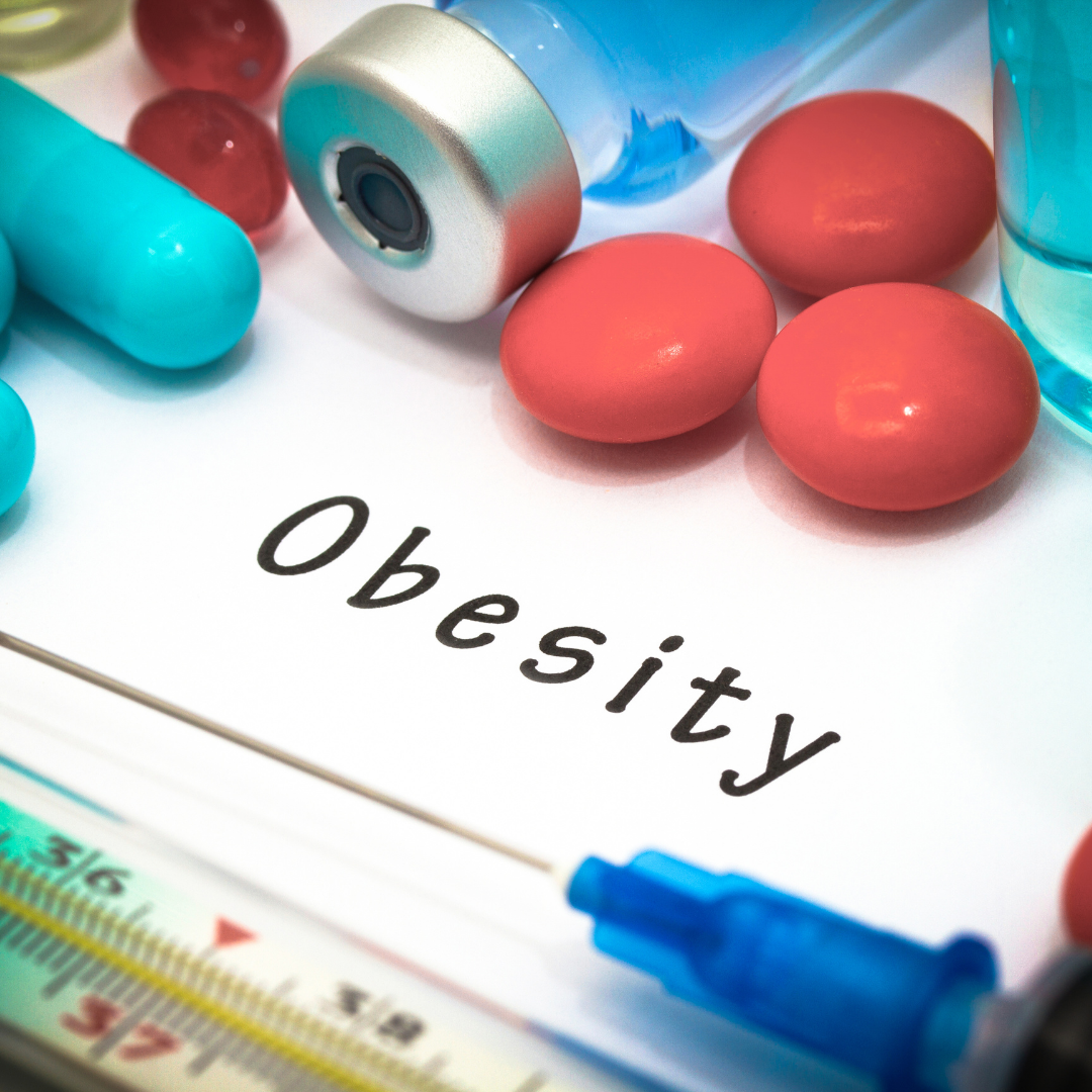 Şişmanlık ( Obezite ) ve Beslenme Tedavisi