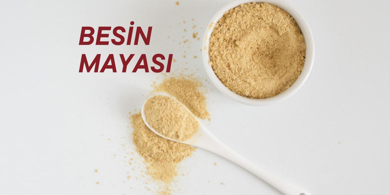 Besin Mayası Nedir ? Faydaları Nelerdir ?