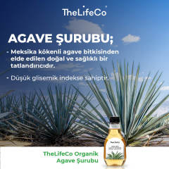 Organik Agave Şurubu 330 gr