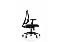 PAROX 100T