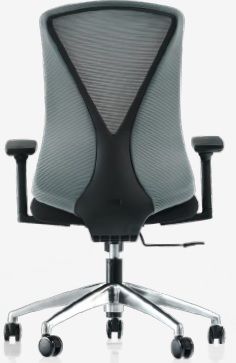 ORFE 100 CA