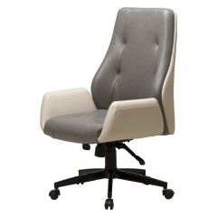 Safir SFR 002