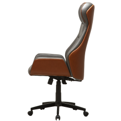 Regno RGN 001