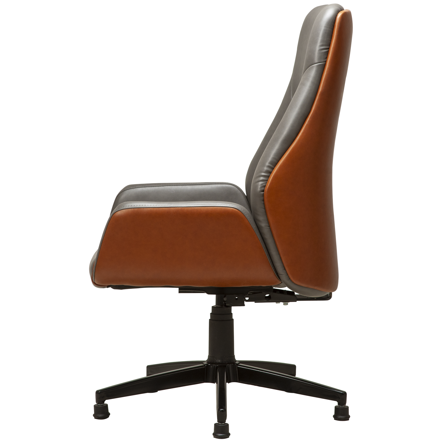 Regno RGN 003