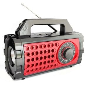 RADYO ŞARJLI PİLLİ BT/USB/SD/AUX FENERLİ EVERTON RT-824BT