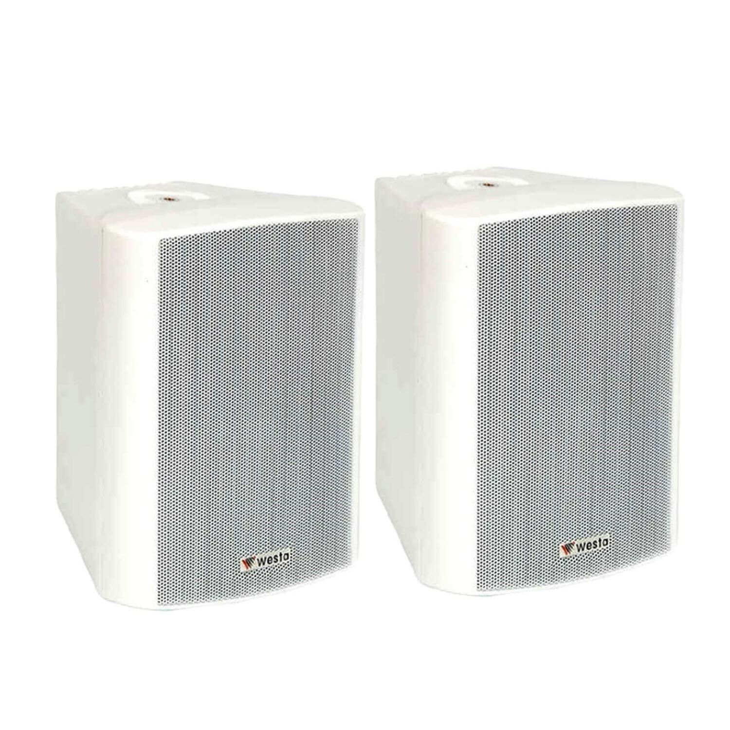 SÜTUN HOPARLÖR 10CM 100W HAT TRAFOLU (2 ADET) BEYAZ WESTA WS-4TW