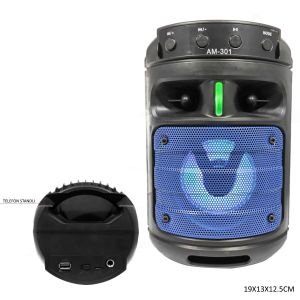 MÜZİK KUTUSU ŞARJLI BT/USB/SD/MIC/FM LEDLİ AM-301