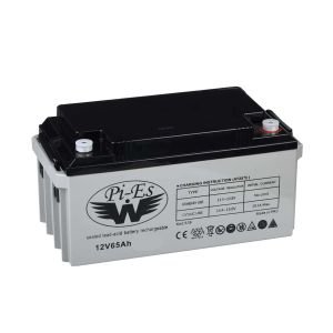 AKÜ 12V 65A JEL (36X20X23CM) WPİES