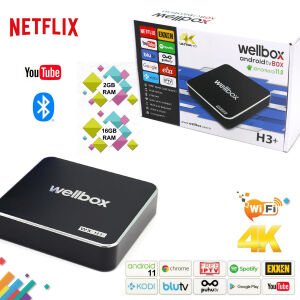 ANDROİD TV BOX 2GB RAM 16GB ROM WELLBOX WX-H3+