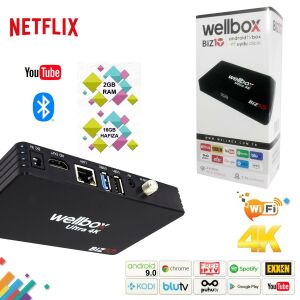 ANDROİD TV BOX UYDU ALICISI 2+16GB WELLBOX BİZ-10