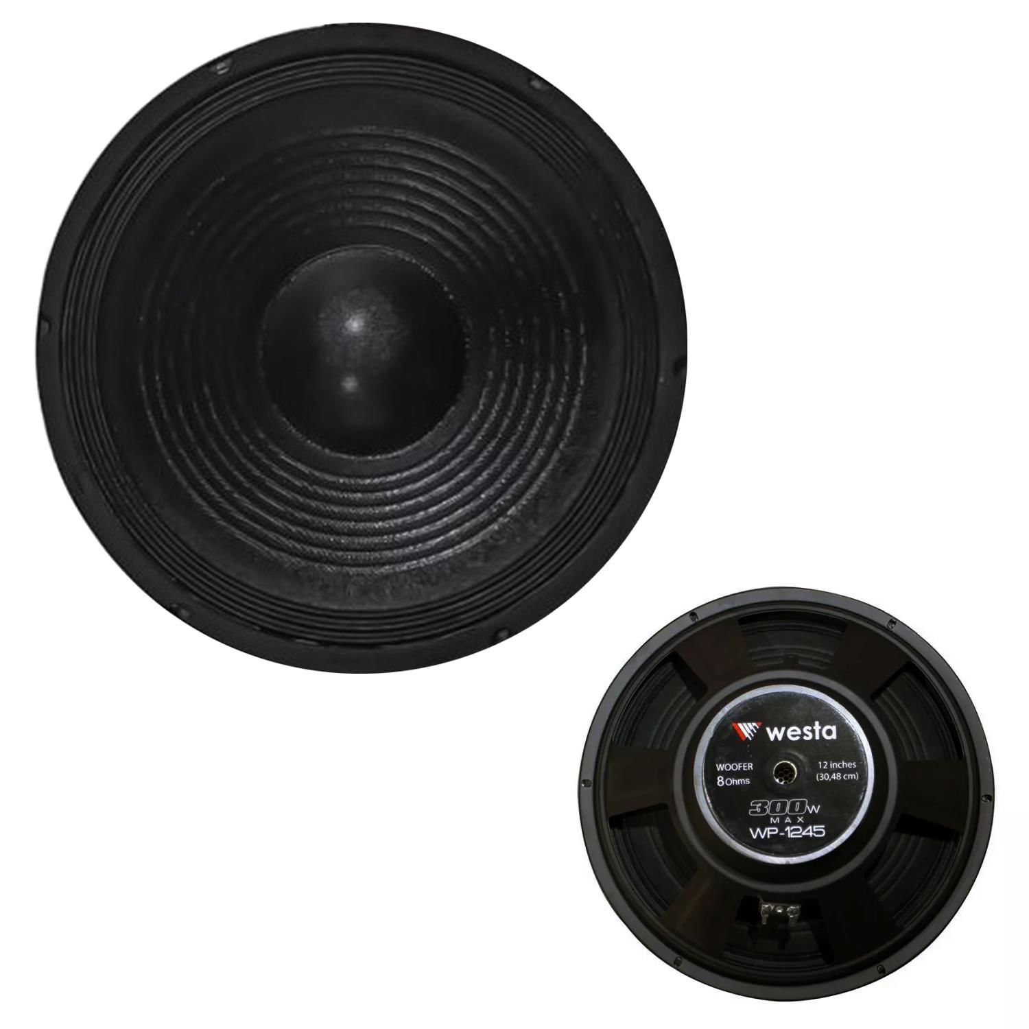 HOPARLÖR KAĞIT 30CM 300W 1 ADET WESTA WP-1245
