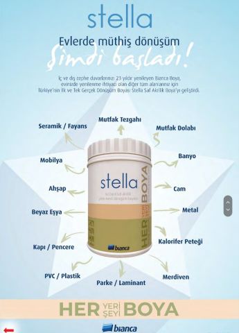 stella ayışığı