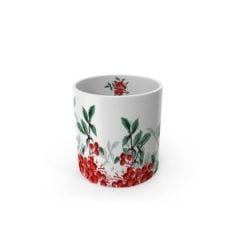 LOVE Red Berry Collection Kupa  Adet Hediye Kutulu