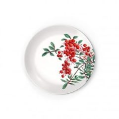 Red Berry Collection Çukur Yemek Tabak