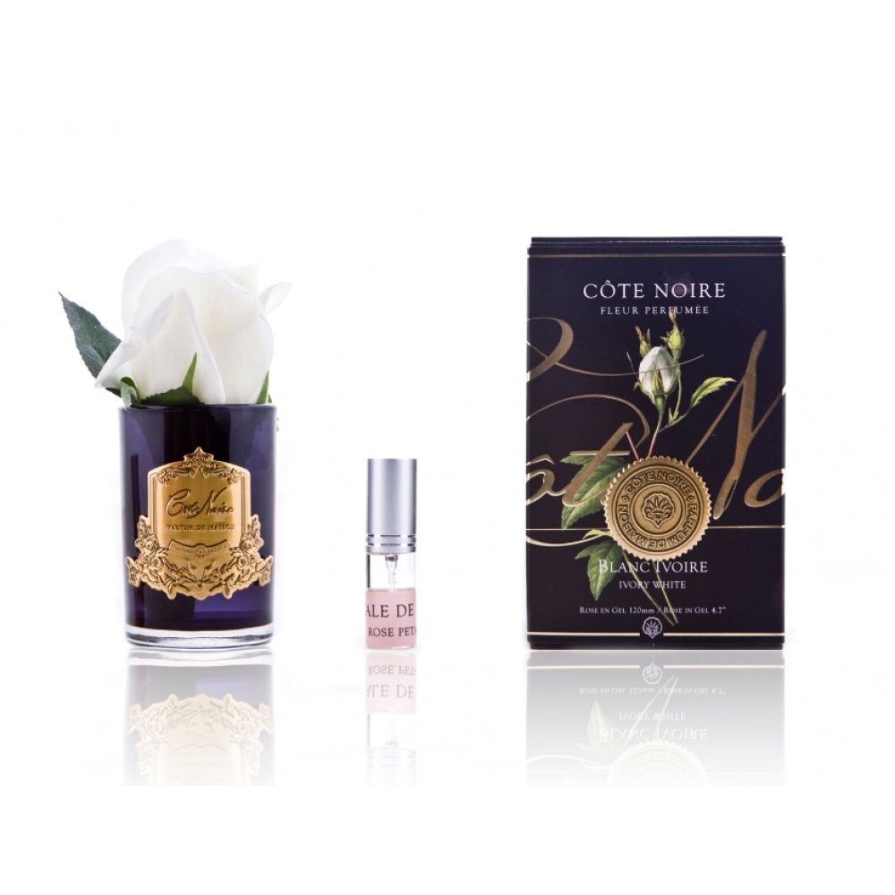 Cote Noire - Tek Beyaz Güllü Gold Koku