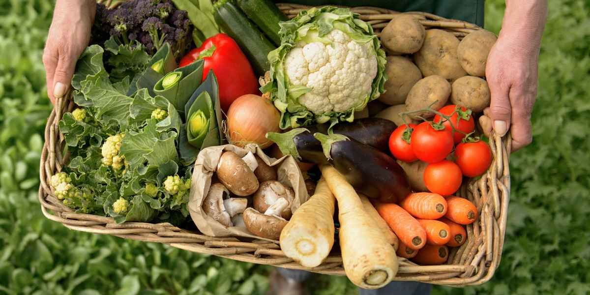 Organik Gıda Nedir? Organik Gıda Nasıl Üretilir?