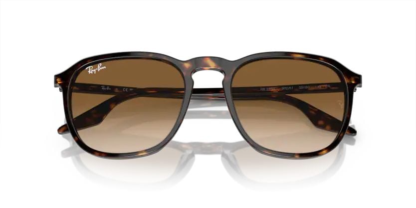 Rayban 0RB2203 902/51 55 Unisex Günes Gözlük