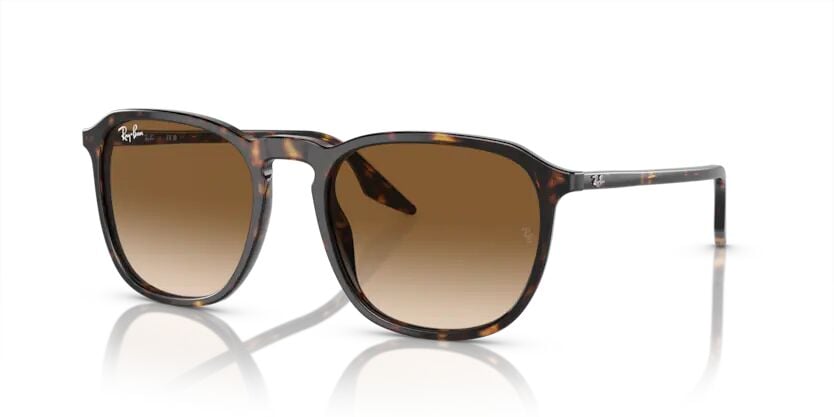 Rayban 0RB2203 902/51 55 Unisex Günes Gözlük