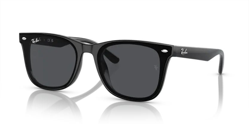 Rayban 0RB4420 601/87 65 Unisex Günes Gözlük