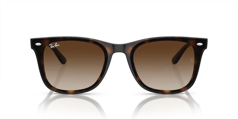 Rayban 0RB4420 710/13 65 Unisex Günes Gözlük